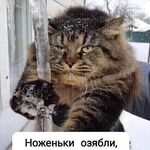 ajekseistasenko21@gmail.com