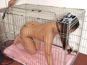 Послушная, как собачонка, азиатка сосет член своего господина