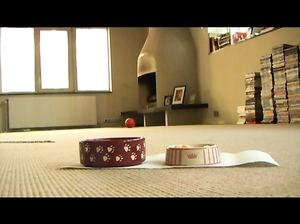 Господин обращается с рабыней, как с животным