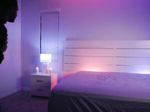 Изгоняющий трахом