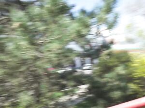 Ебись в своё удовольствие и не парься