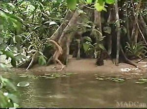 Дэрил Ханна в эротической сцене из фильма Игра в полях господних