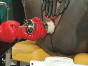 Горячая самка кончает от необычной дрочки