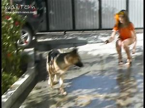 Телки в откровенных купальниках веселятся во дворе