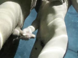 Ладная девочка смачно сосет хуй под водой