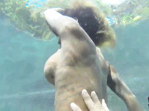 Чувак лапает красивые сиськи девчонки под водой