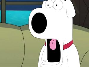 Похотливый пес семейки Гриффинов выебал свою хозяйку