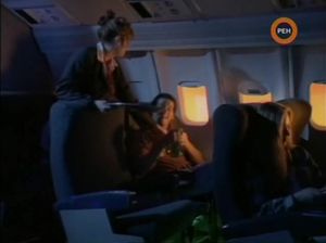 Шикарная девка трахается в самолете с незнакомцем