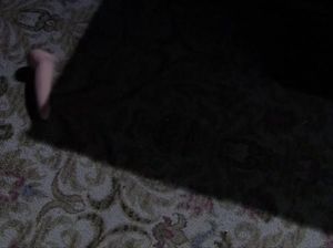 Девушка смотрит порно видео и мастурбирует