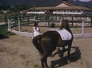 Сексуальные приключения крошки в доме терпимости