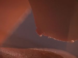 Эшли Джадд и Майкл Шеннон - несколько сексуальных сцен