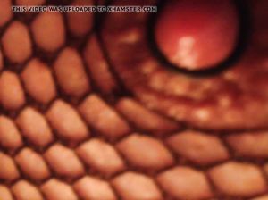 Девка показывает большие соски и накачивает их помпой