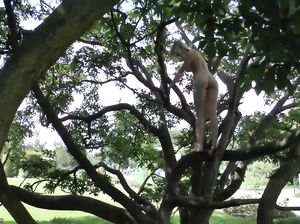 Девушка с татуировкой возле пизды гуляет голой в сквере